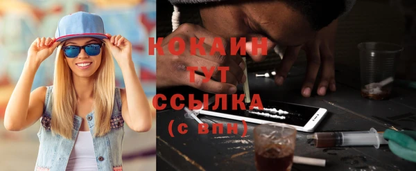 спайс Ладушкин