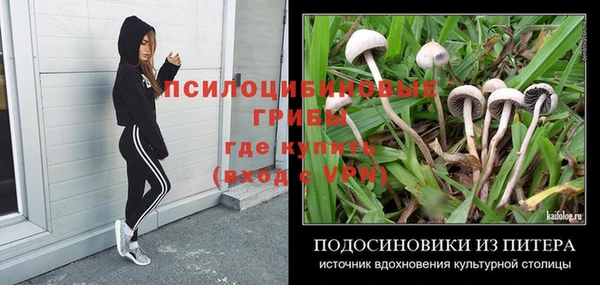 спайс Ладушкин