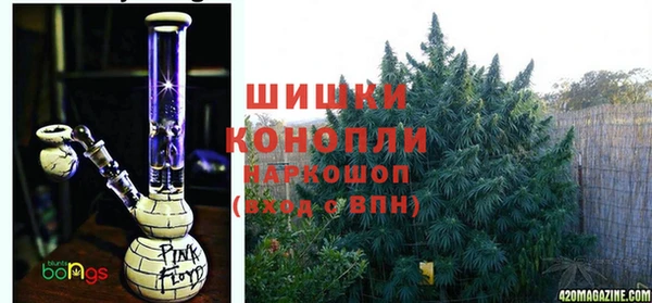 ПСИЛОЦИБИНОВЫЕ ГРИБЫ Лабытнанги