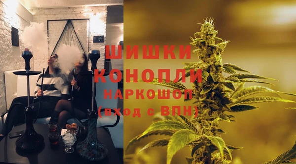 спайс Ладушкин