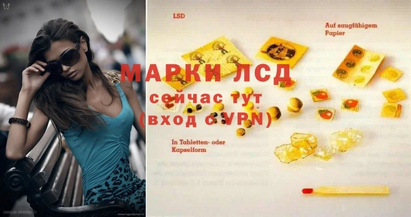 ПСИЛОЦИБИНОВЫЕ ГРИБЫ Лабытнанги
