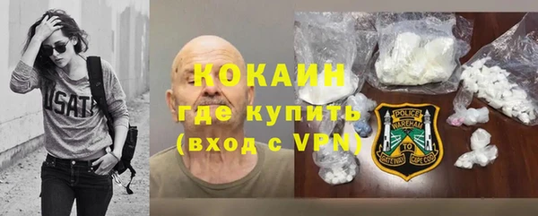 спайс Ладушкин